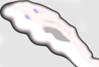 ghostleft