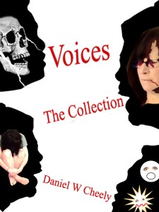 Voices Collection Cover