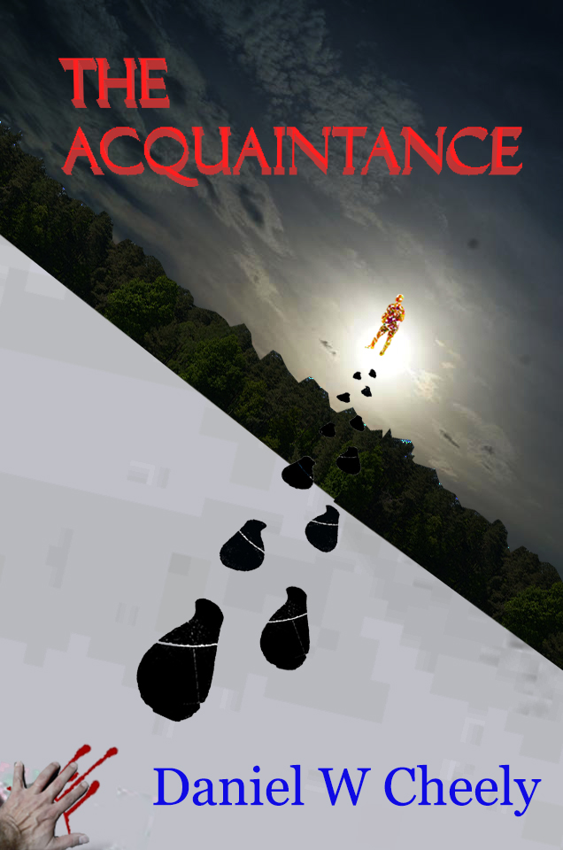 TheAcquaintanceBookCoverWithTitleAuthor