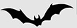 Bat